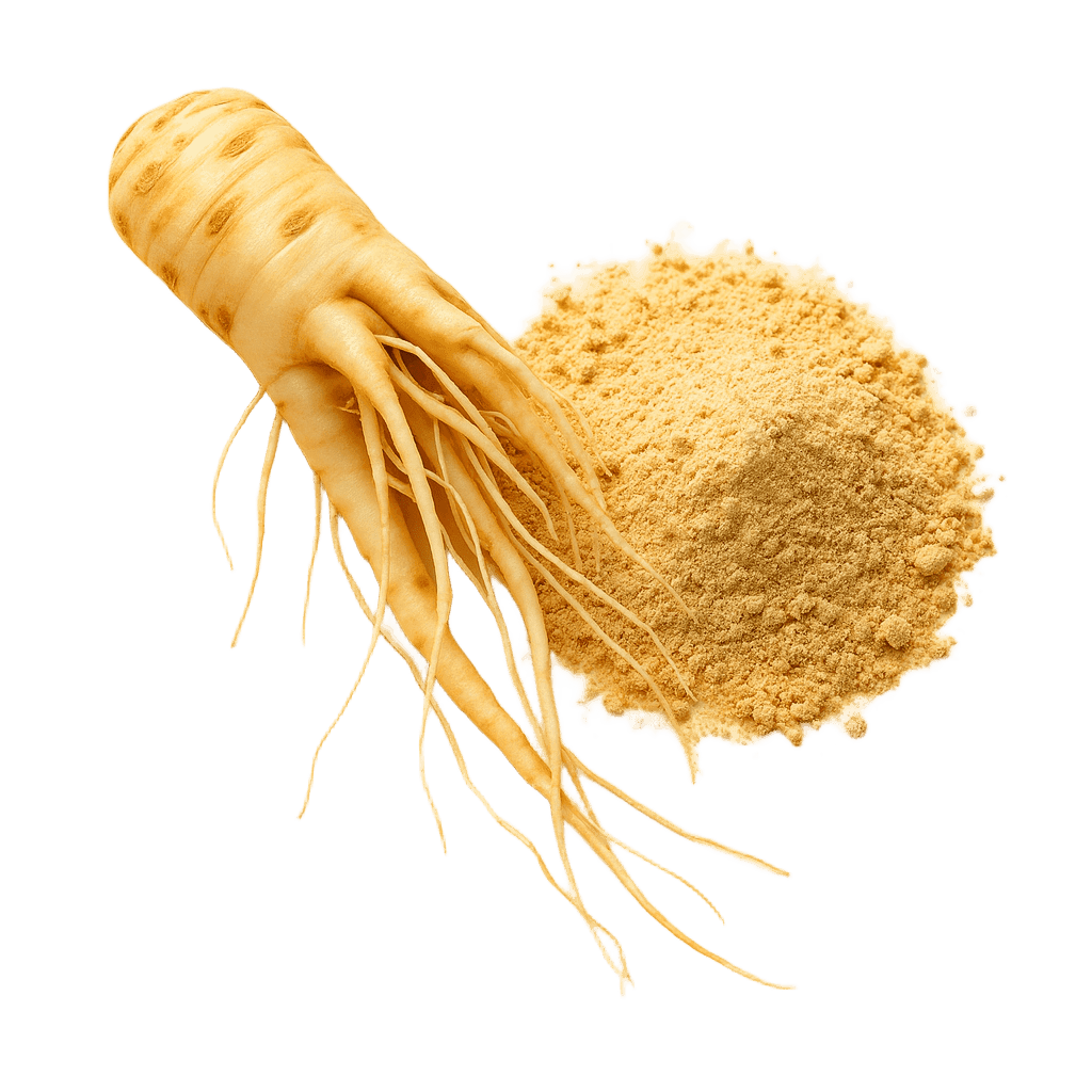 GINSENG