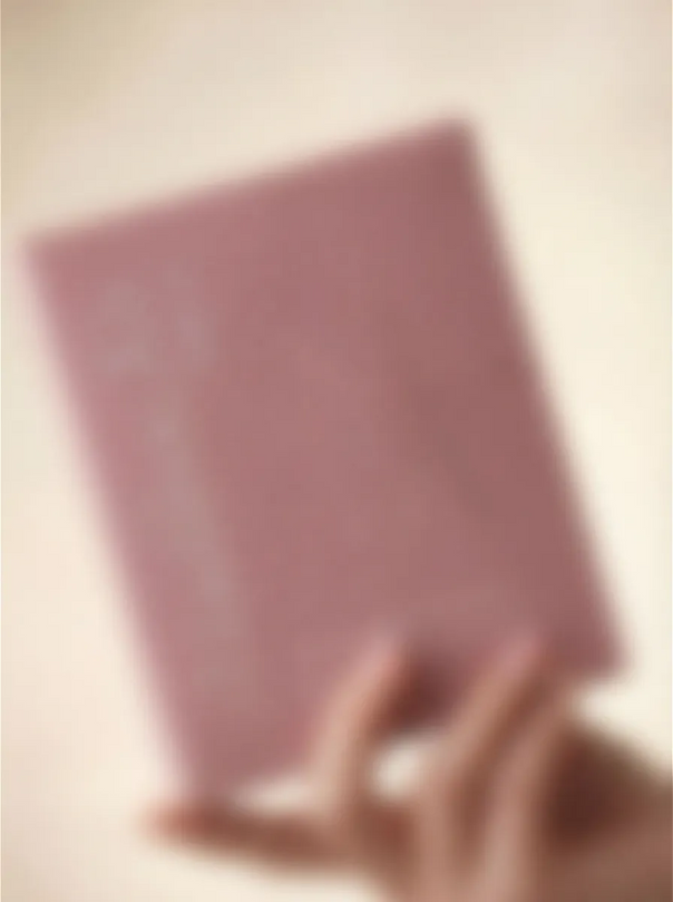 Le Masque · 마스크