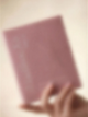 Le Masque · 마스크